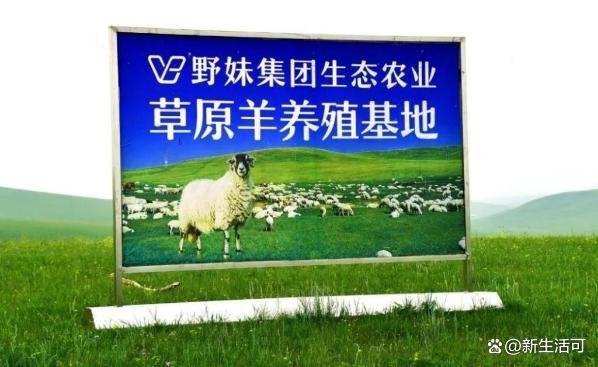 绿色营销如何赢得消费者青睐