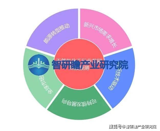 数据驱动营销在新兴市场中的应用与挑战
